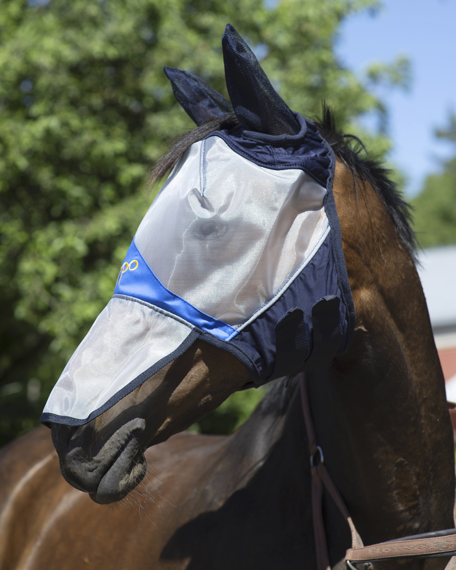 Lippo Hel2 Flughuvor _mal8221