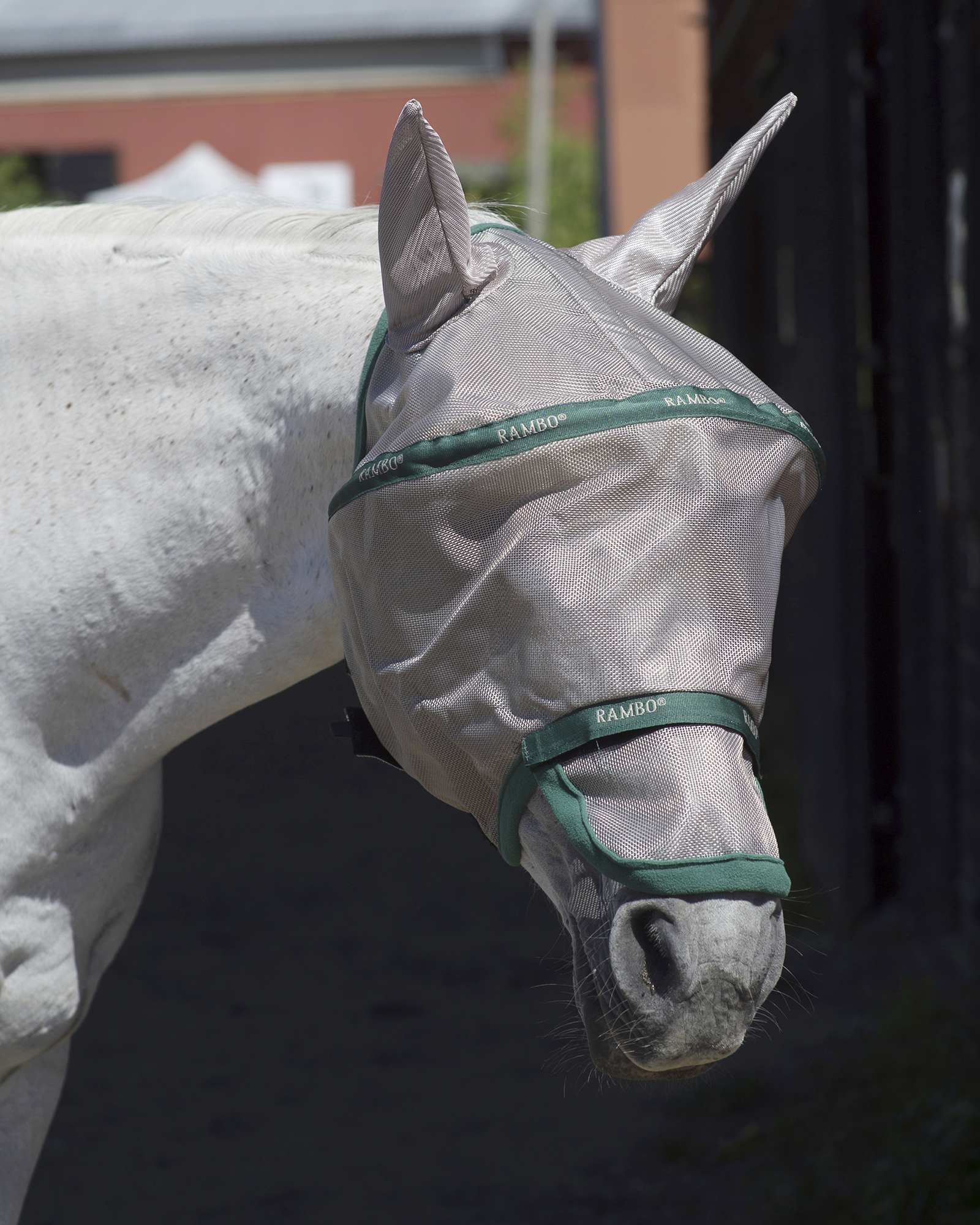 Rambo2 Flughuvor _mal8072