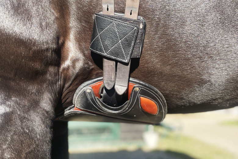 Gjorda(r) för både hopp och dressyr