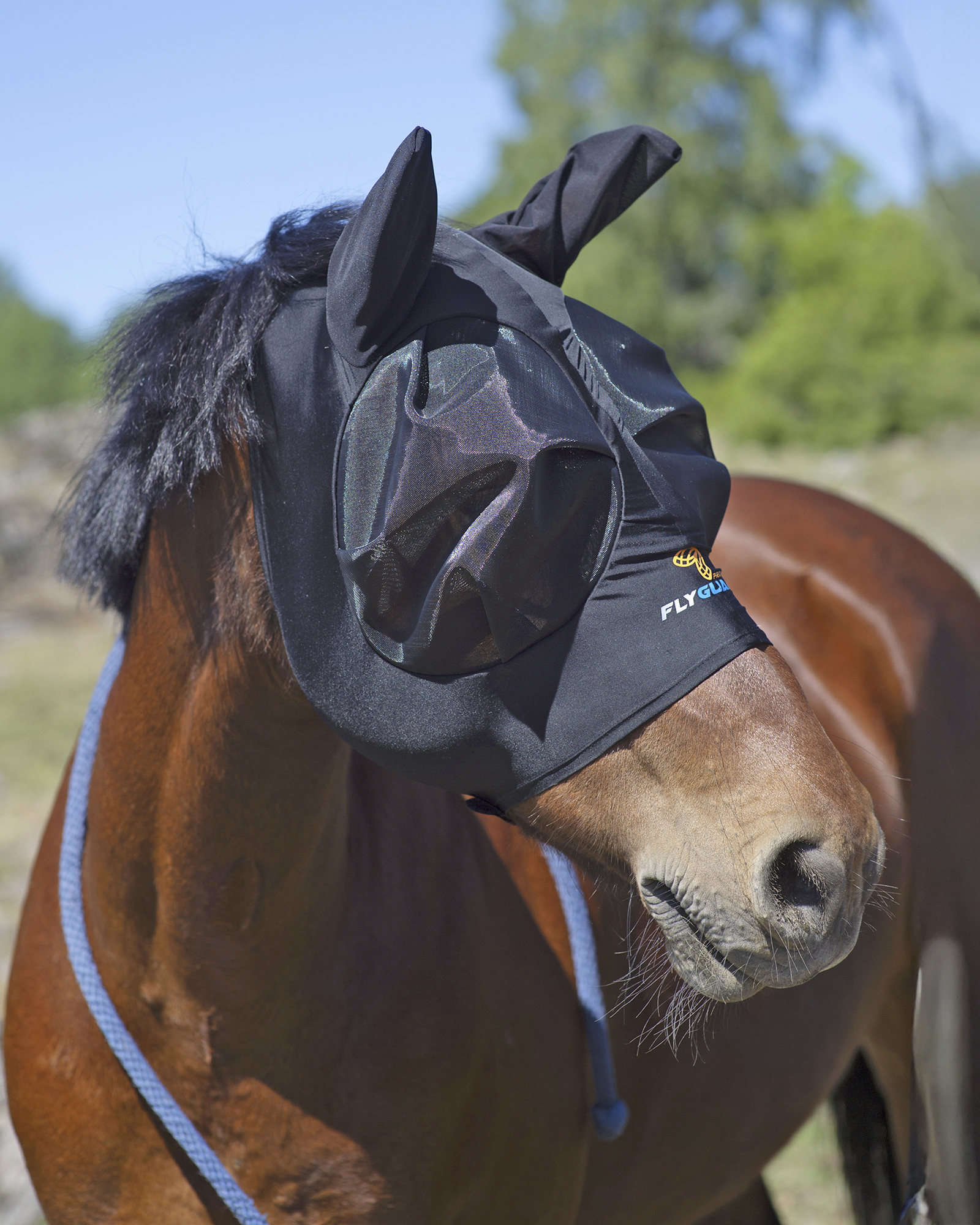 Shires Stretch Flughuvor _mal8297