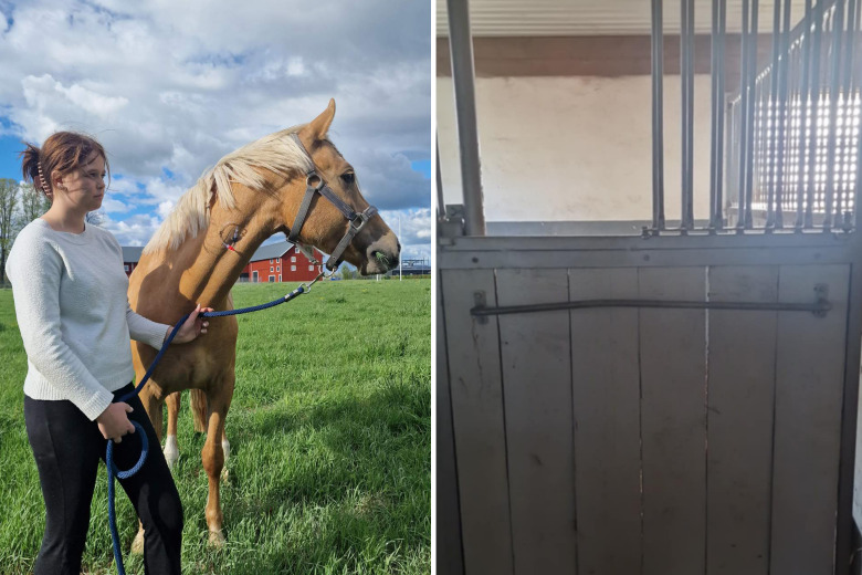 Ponny fastnade i täckeshängare – ägaren vill varna andra