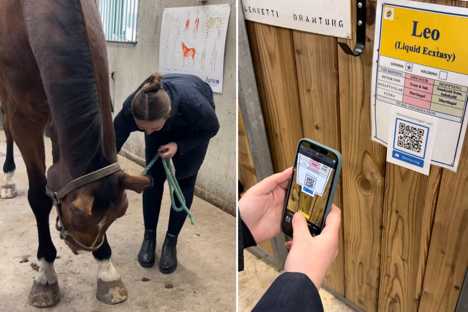 QR-kod på boxen berättar om ridskolehästen