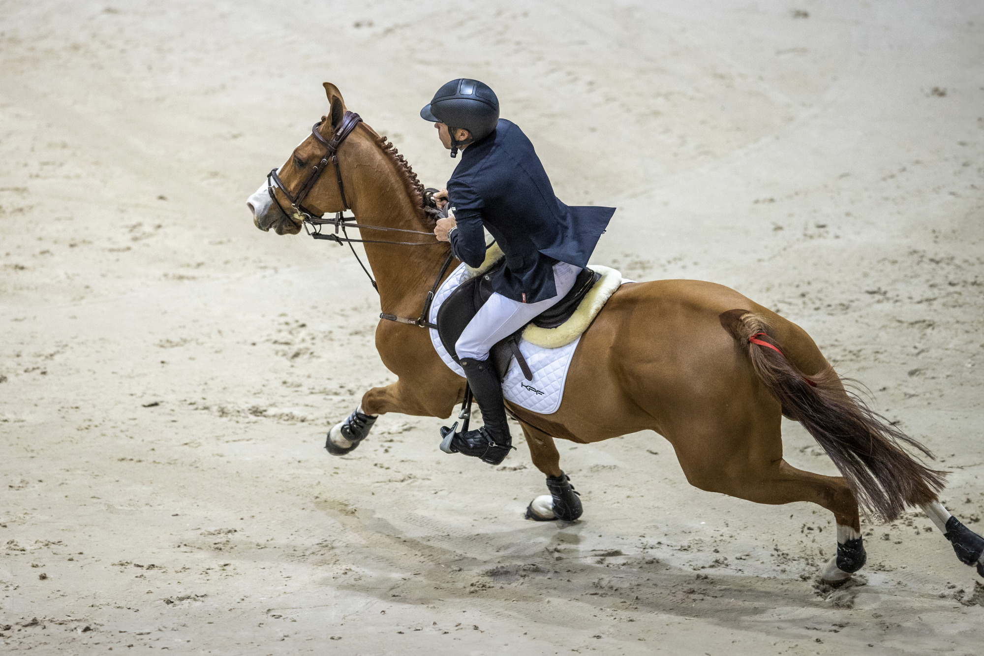 Farrington K-gene21a3026_high