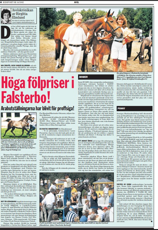 F&ouml;lauktion Falsterbo 2002