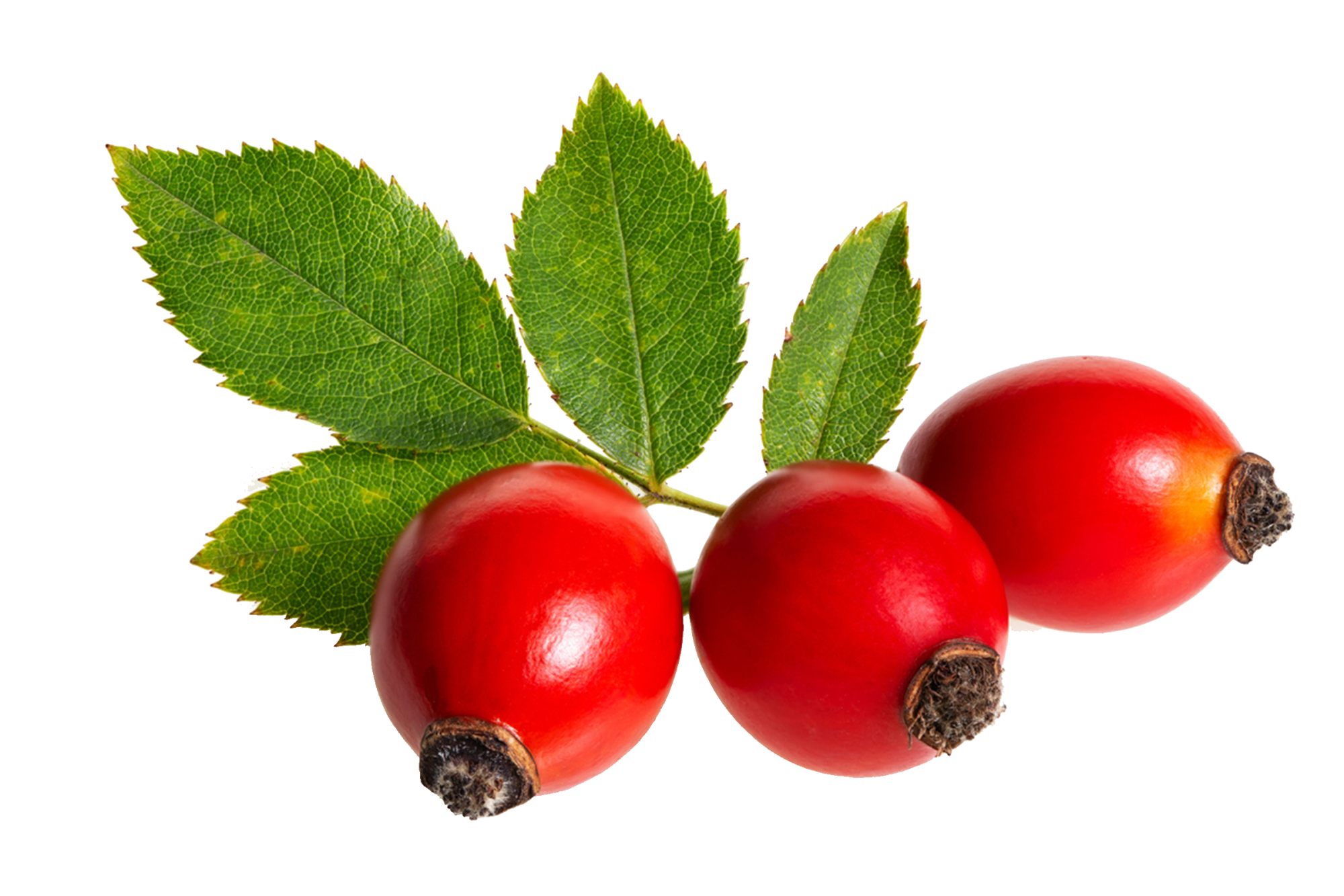 Istock-1280169146