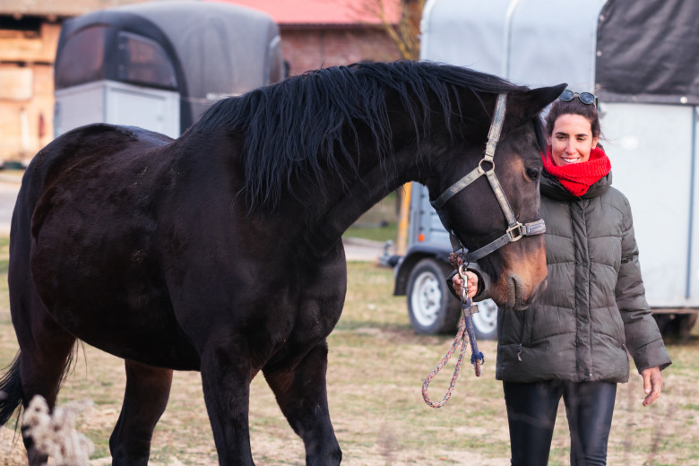 Ljusning på hästmarknaden