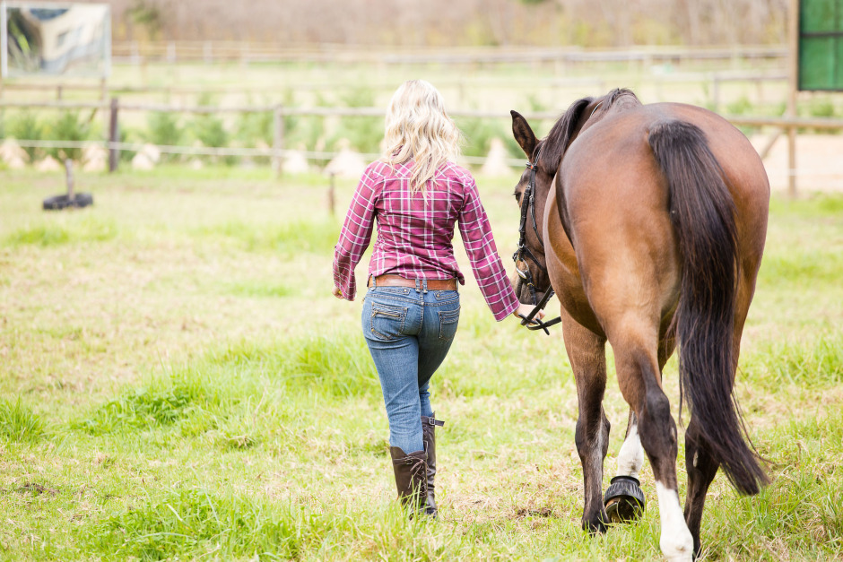 Catharina Hansson: ”Är vi redo att vrida på hästvärlden?”