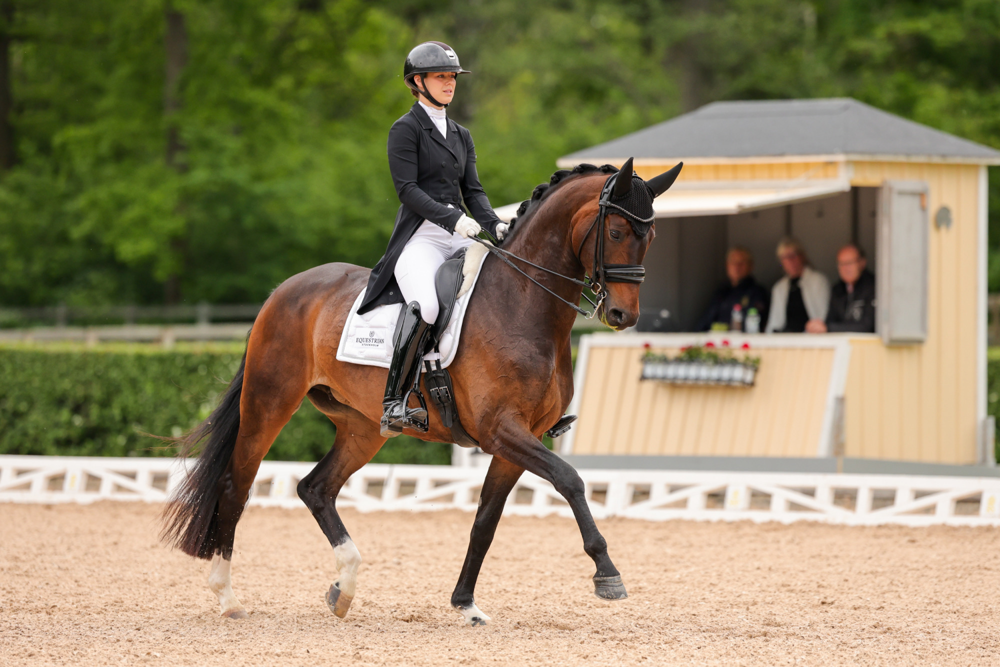 Linnéa Holmgren Buskhagas Sitara-3192