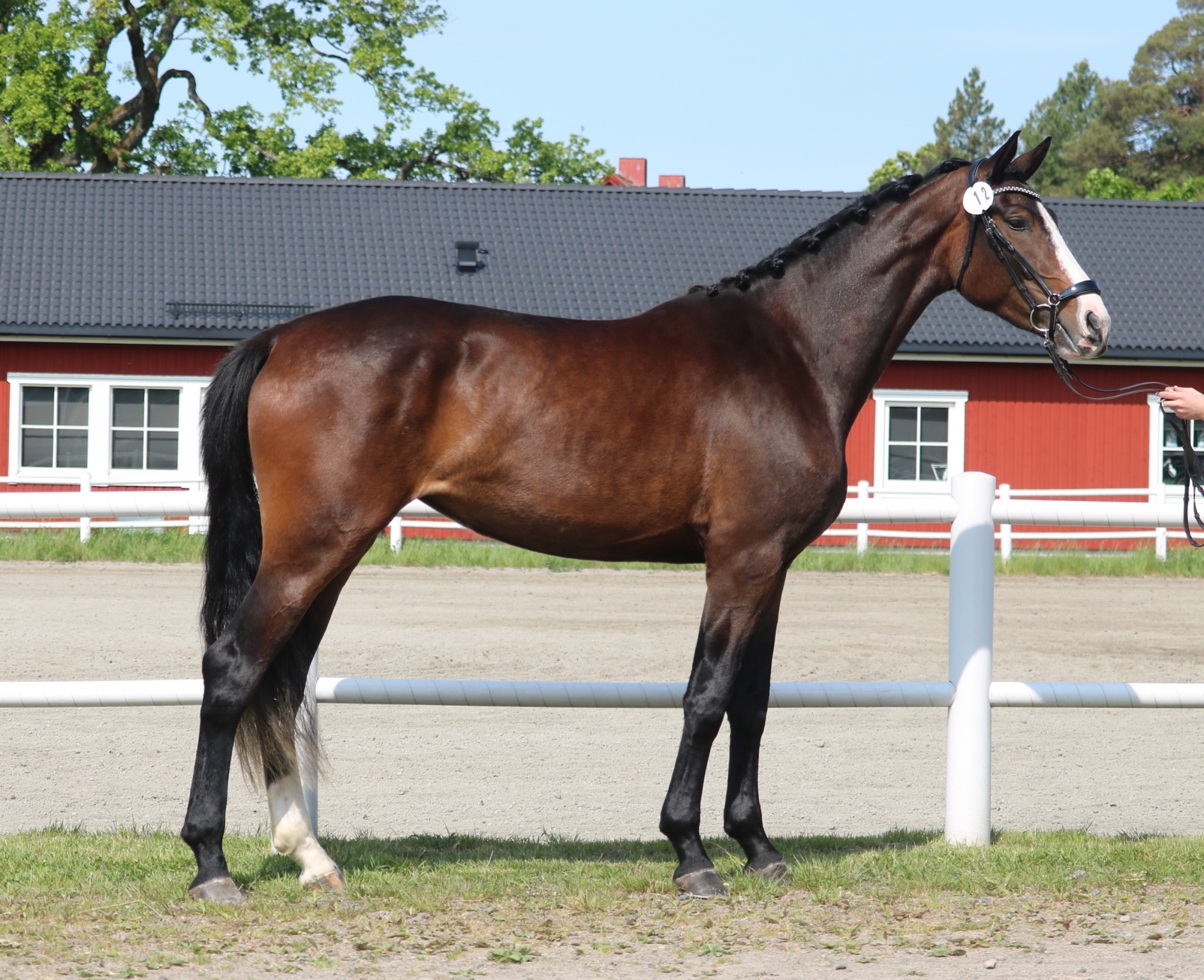 Nr 12_adele H Img_5524_foto_ulrika_jacobs