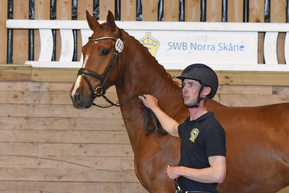 Plötsligt i Hässleholm – fem över drömgränsen