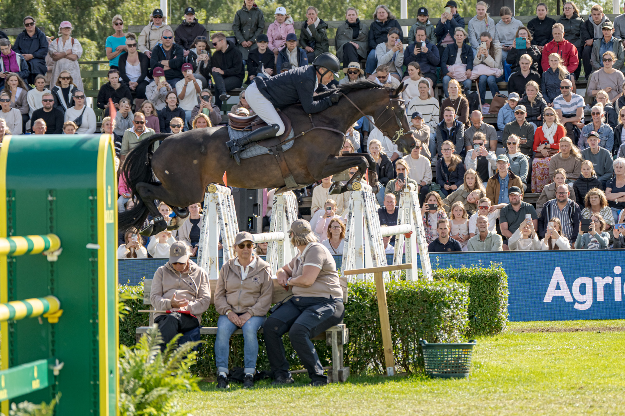 Jens Fredricson Swe Diarado's Rose Elith