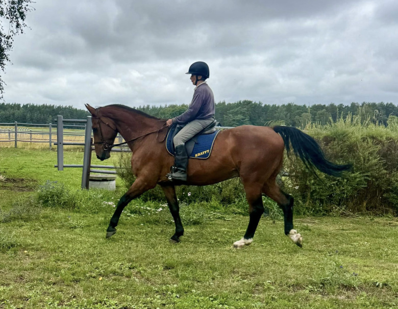 Catharina Hansson: ”Ridsporten – en fristad från ålderismen?”