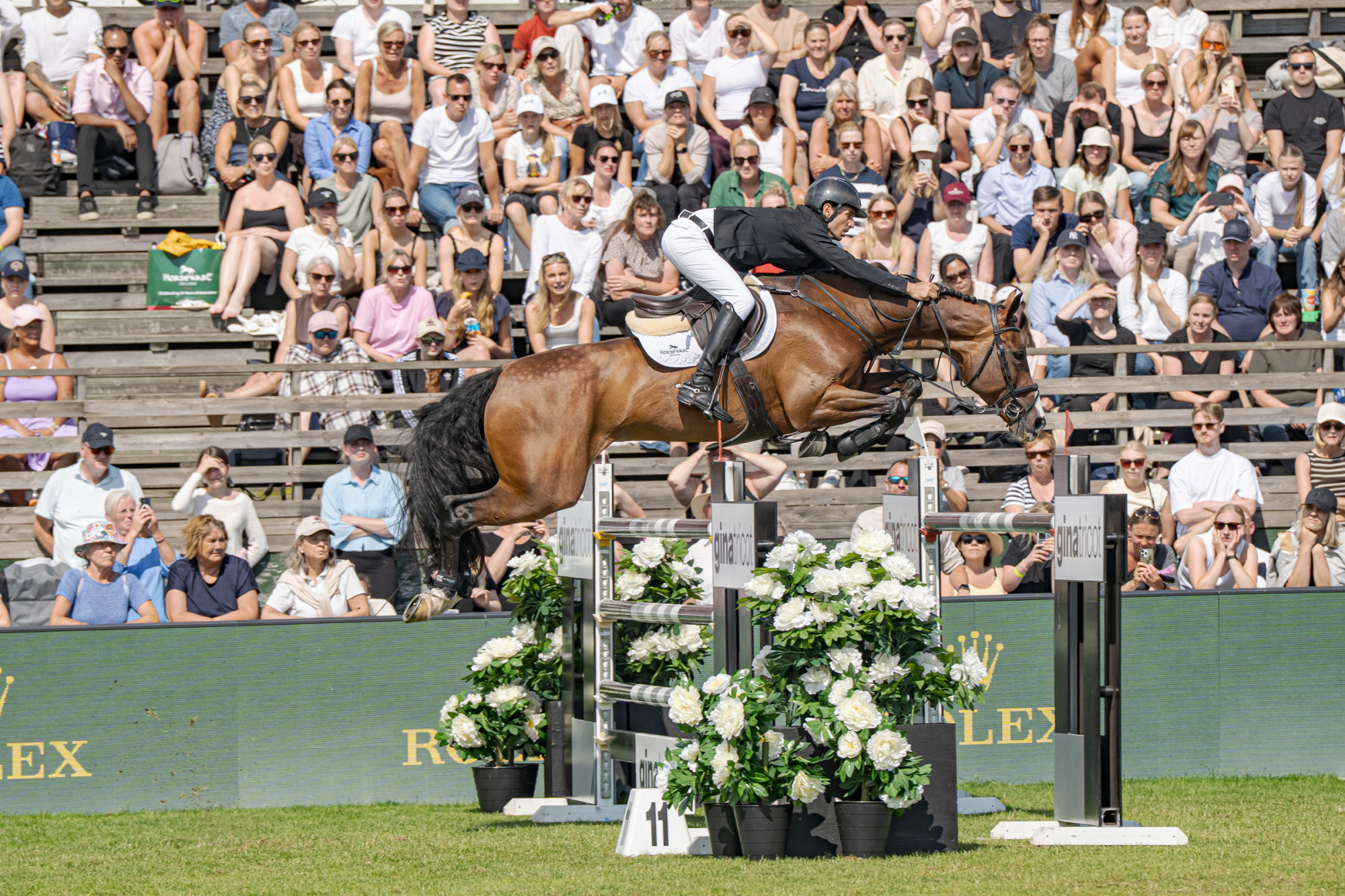 Steve Guerdat Sui Dynamix De Belheme