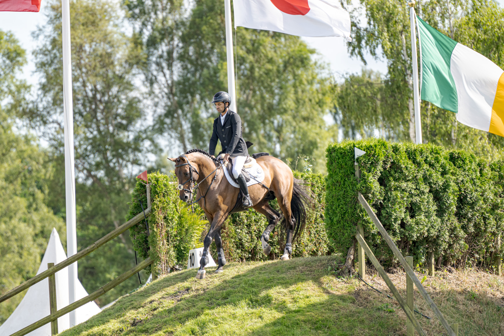 Steve Guerdat Sui Easy Star De Talma