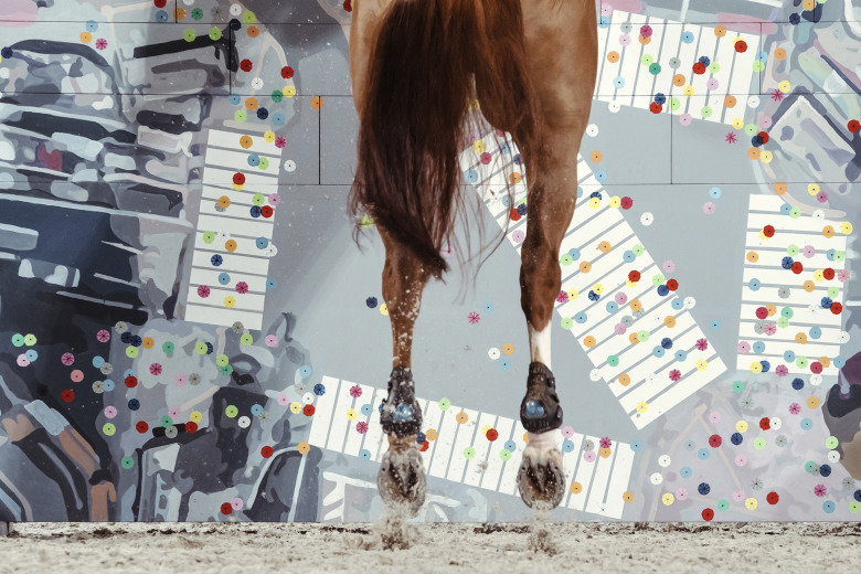 Världsledande expert: ”Se vad hästen visar dig!”