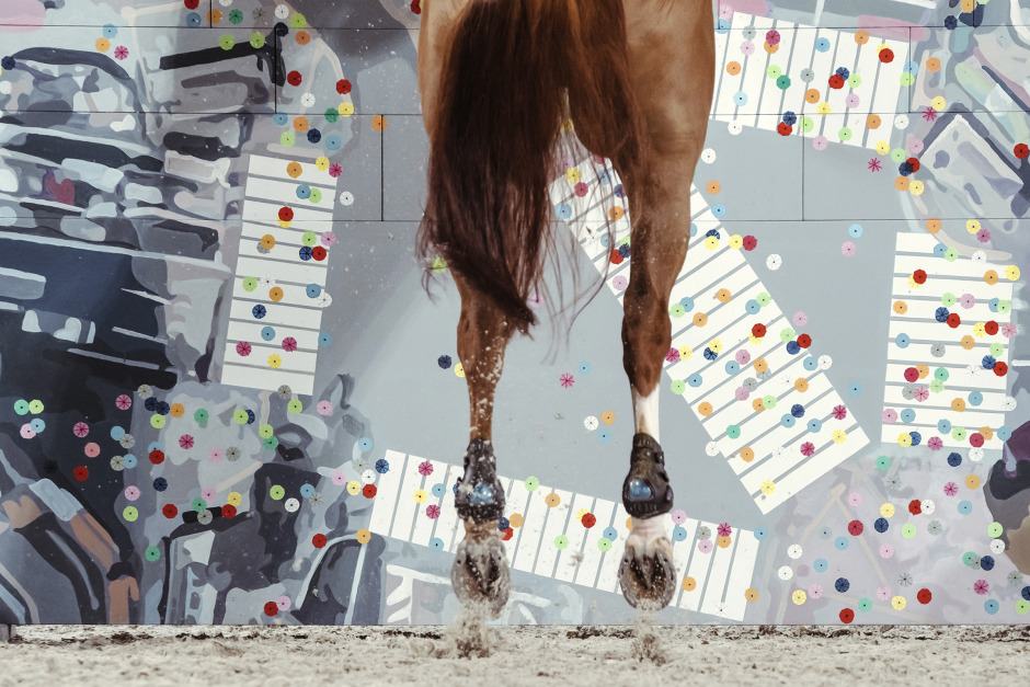 Världsledande expert: ”Se vad hästen visar dig!”