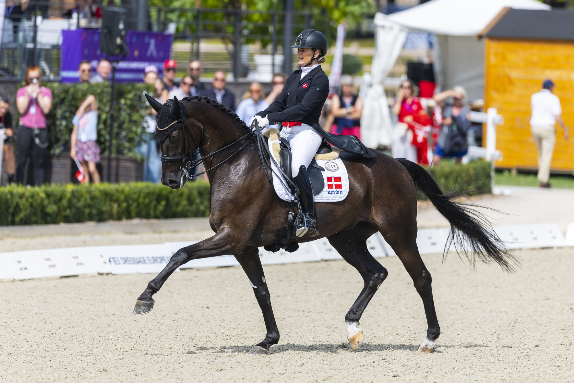 54747587867_490d1ce3b3_k