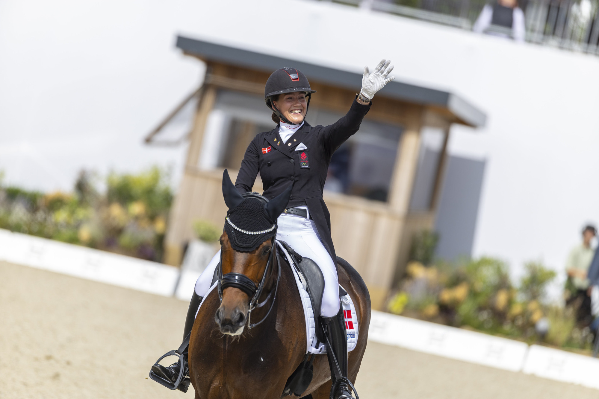 54750825989_a0400a7df7_k