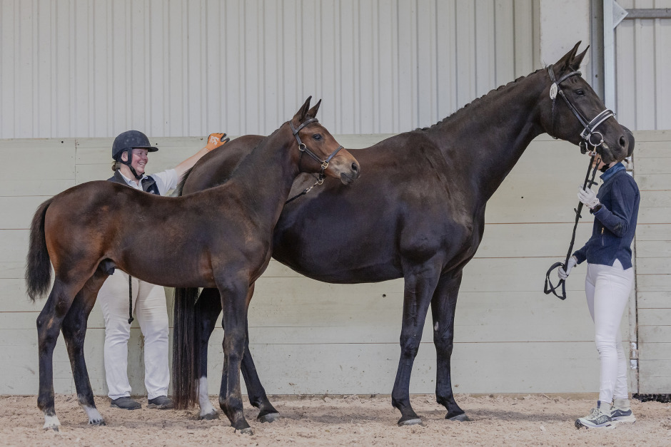 Benefit-son högst bedömd i Skaraborg