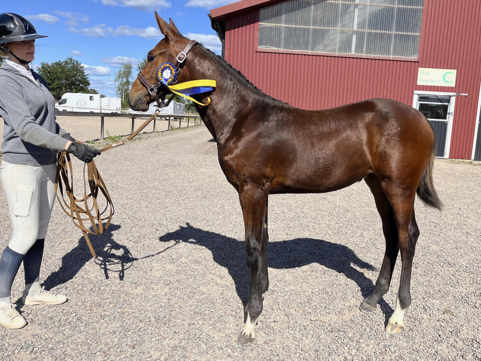 Special One-dotter överlägset bäst i Södra Kalmar