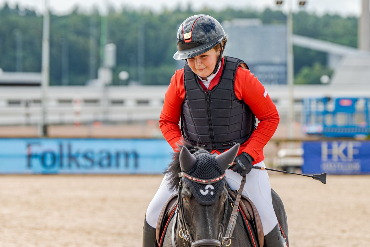 Brons Kat B Tilde Sandberg