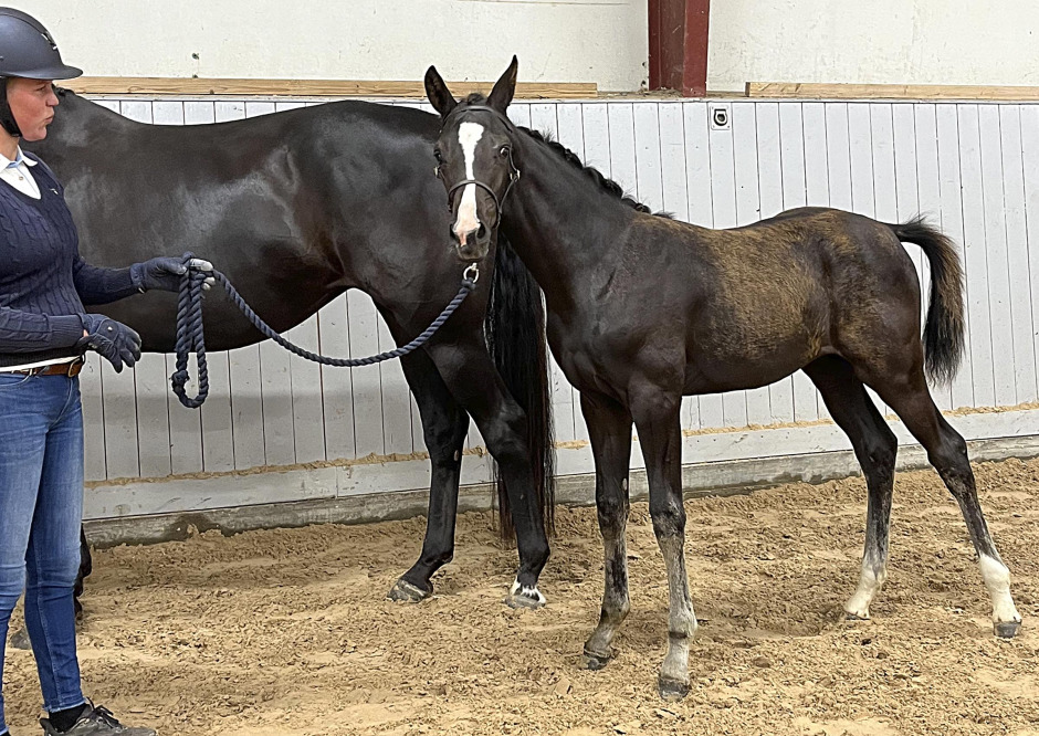 Kjento-dotter fick 88,9 procent på Österlen