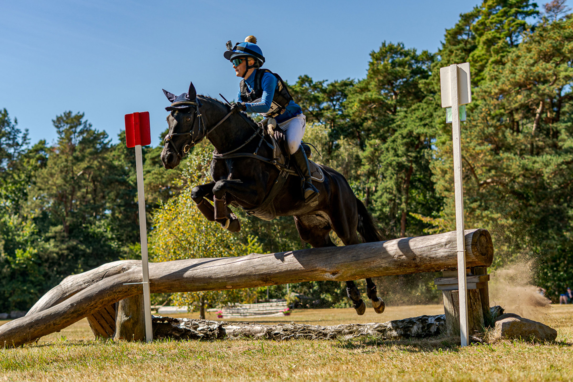 Guld_inez_stenfeldt_kiara_li_z_kat_c_sm_p80__kcl2185