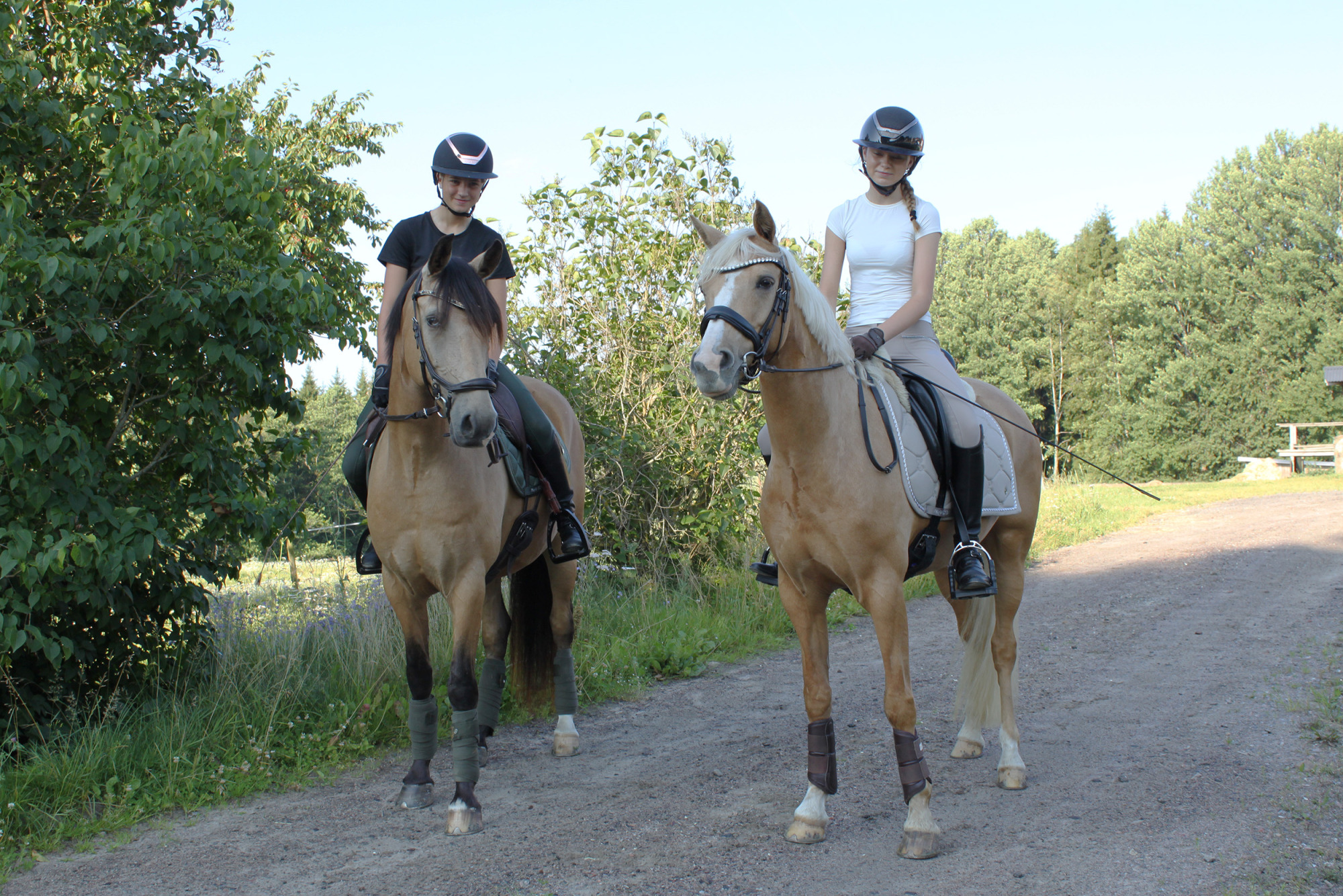 Klara Bj&Ouml;rkman-exsus Mr Cayman) Och En Isabellf&auml;rgad (nellie Magnusson-oh Quite Right) Ponny Foto Lena Storm