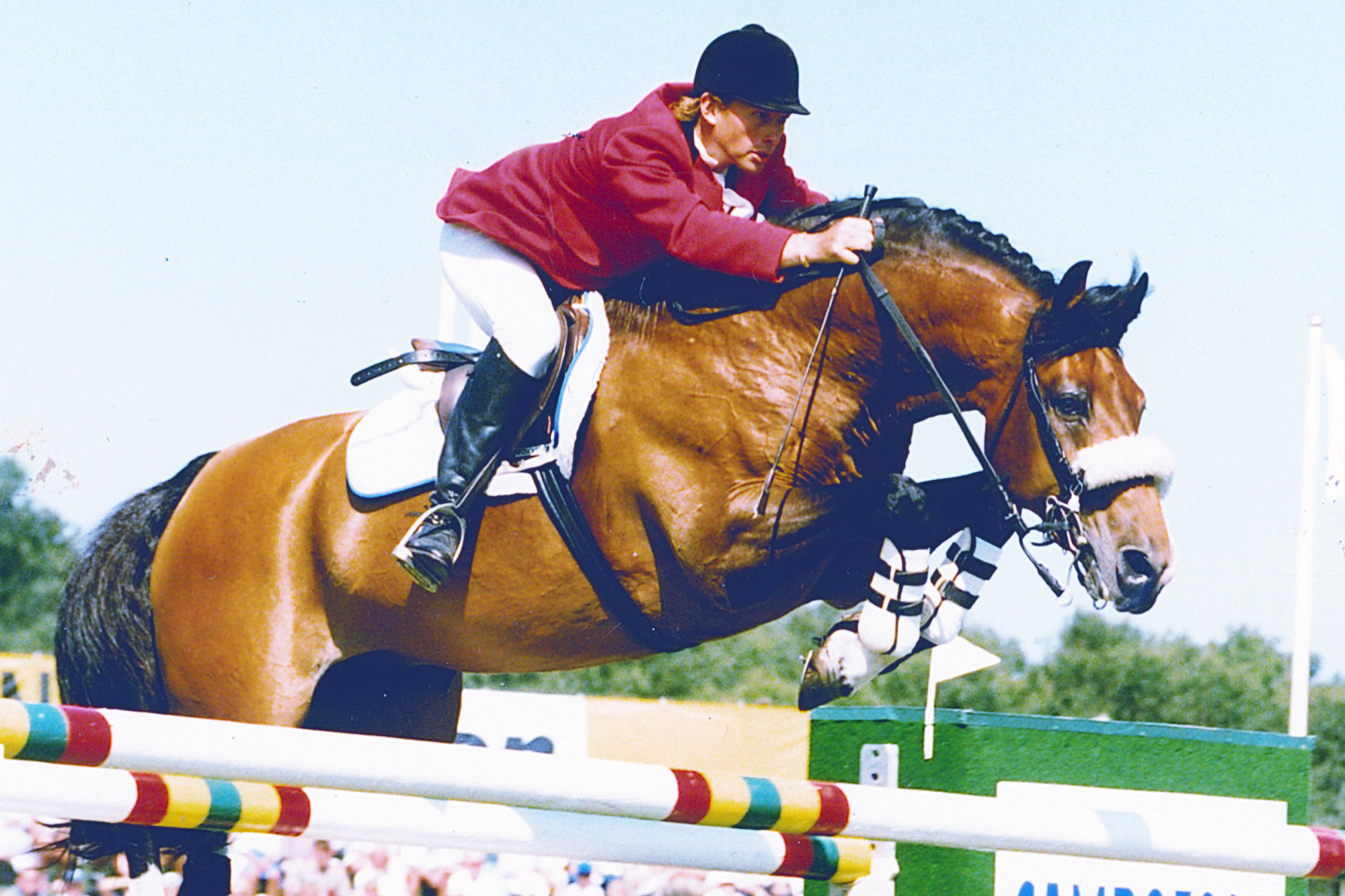 Magini Rolf-g&ouml;ran Bengtsson Falsterbo 1995 Foto: Krister Lindh