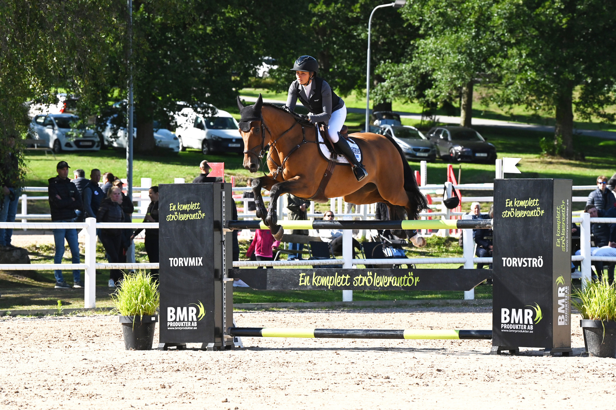 Nicole Holm&eacute;n Carex An