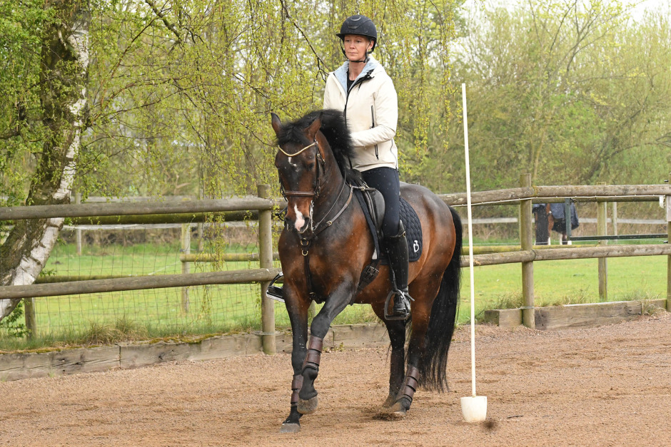 Julia Wittsell: ”Alla hästar blir bättre av WE-träning”