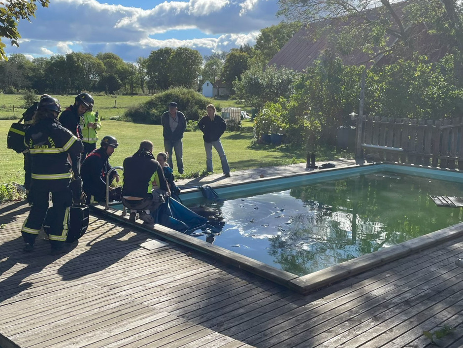 Ponnyn föll i poolen – fick hjälp av räddningstjänsten