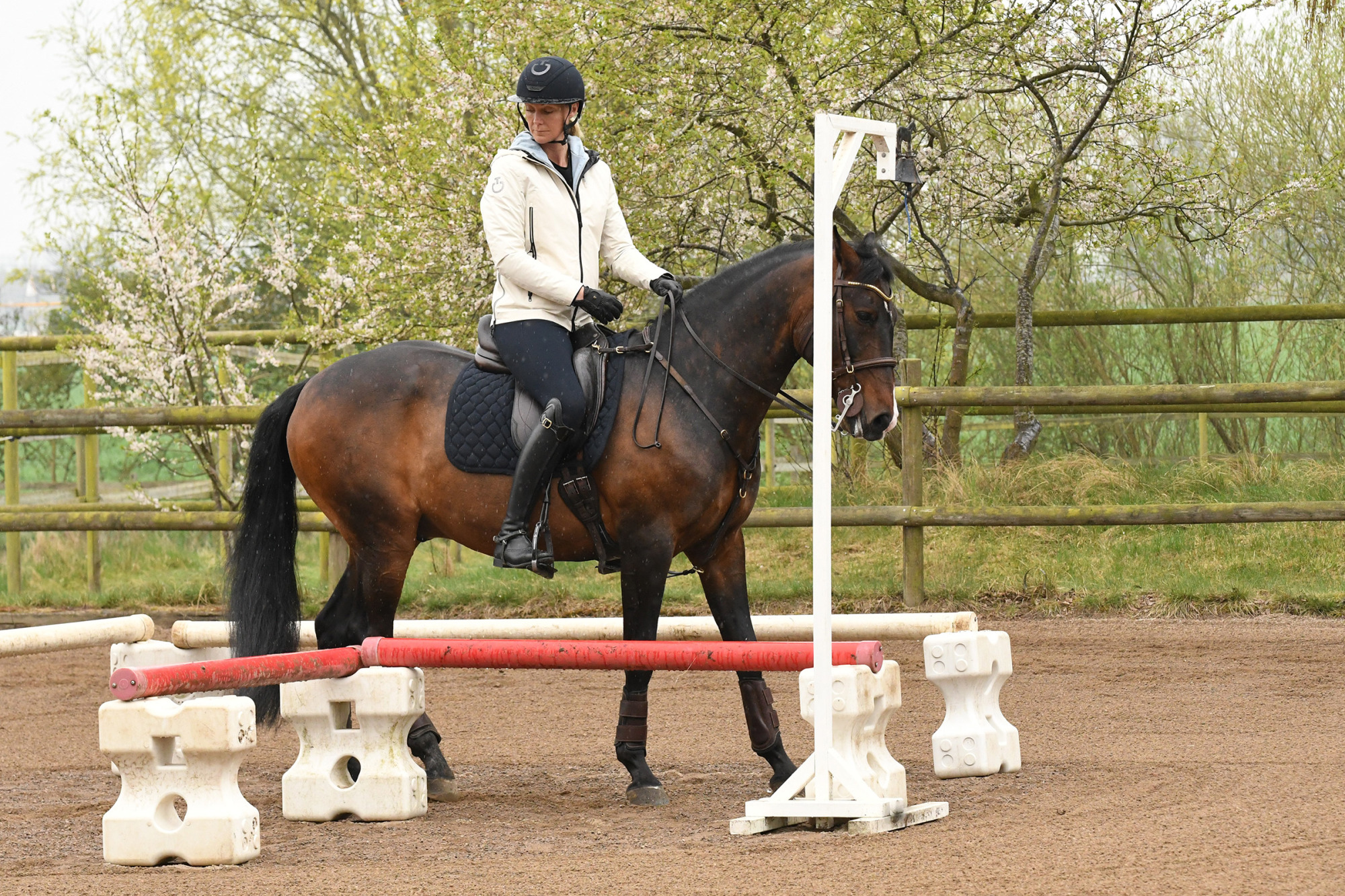 Working Equitation Tr&auml;ning &ouml;vningar Med Julia Wittsell Foto: Linnea Lindahl