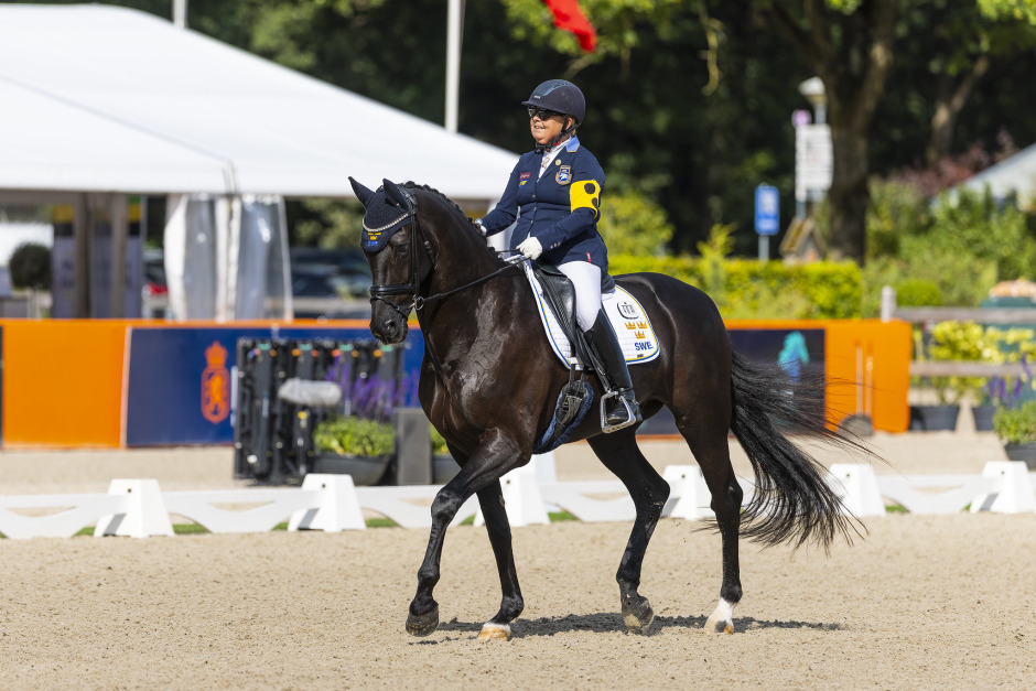 Dubbla svenska medaljer på para-EM