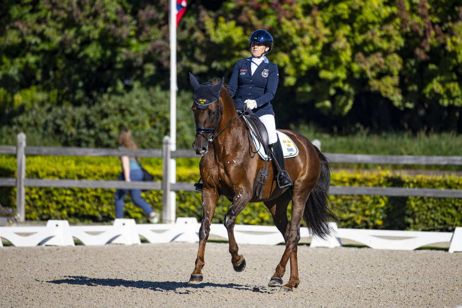 Lena Malmströms sköna brons-repris