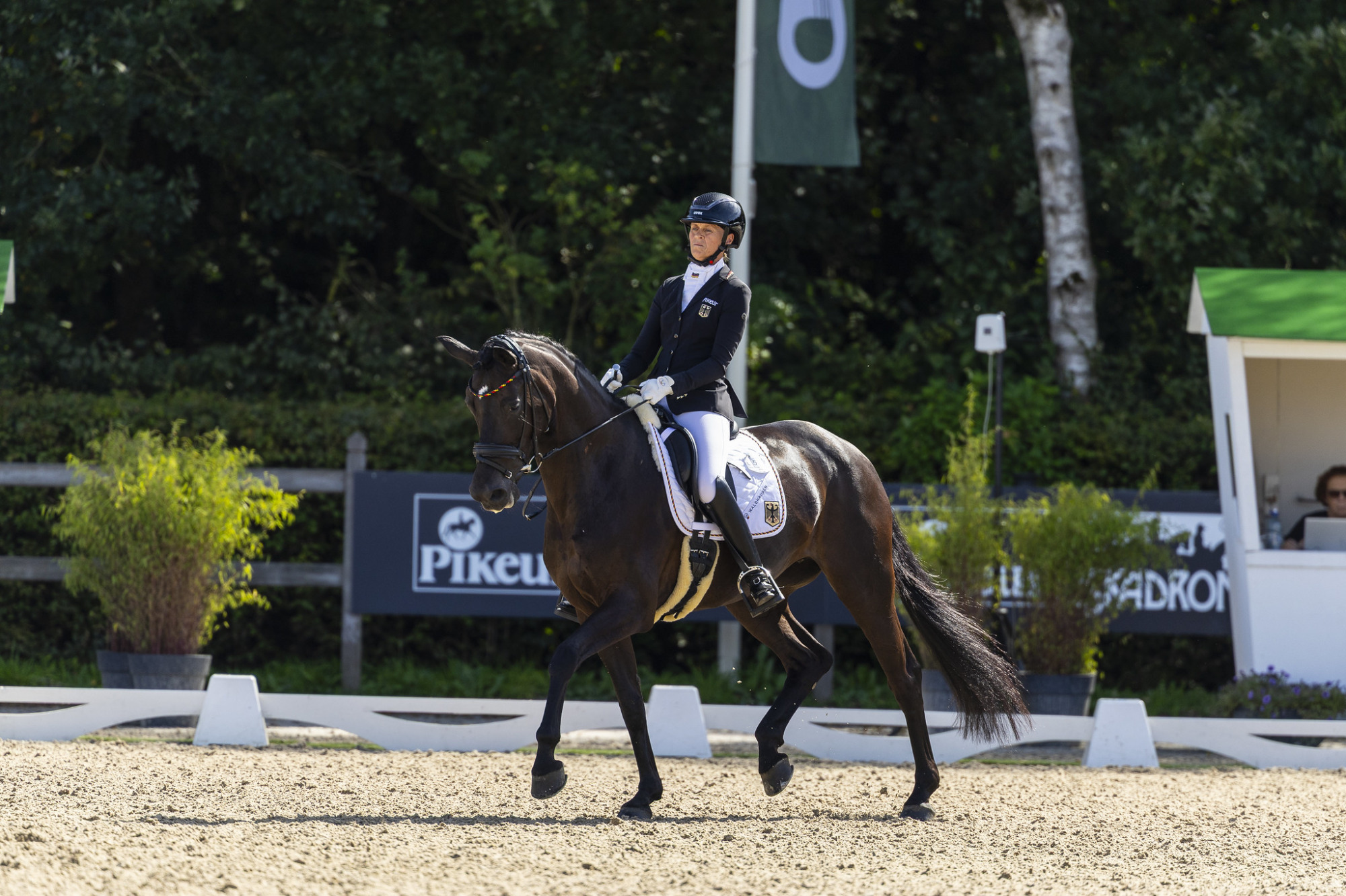 54771688928_1c979ebedc_k