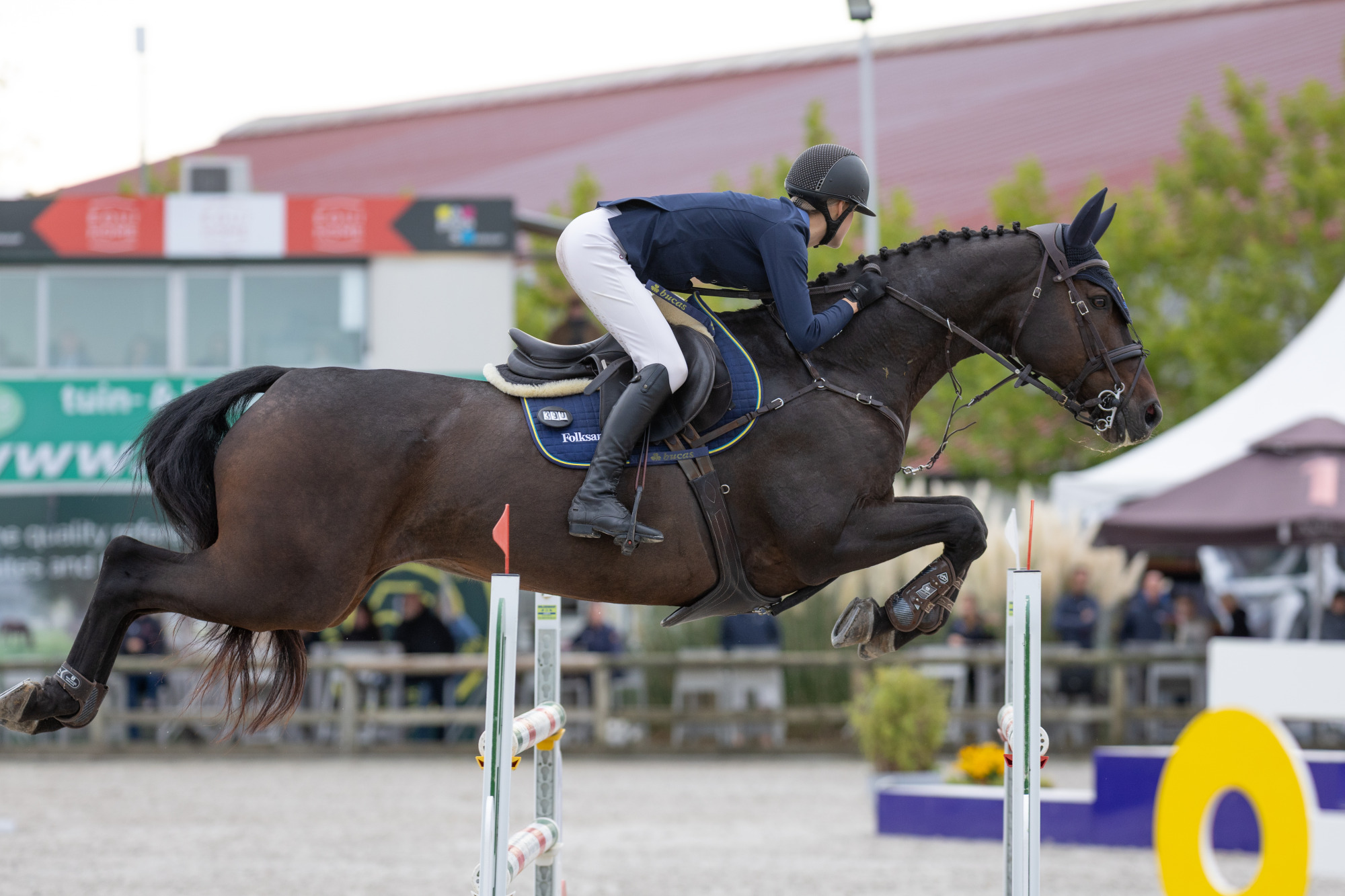 Swe - Ella L&ouml;fqvist - Linus