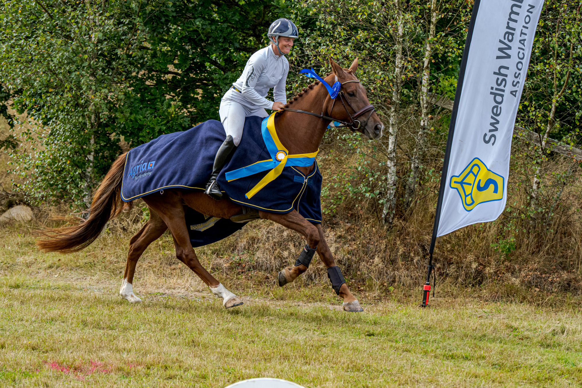 Aminda Ingulfson Frank's Silly Lilly