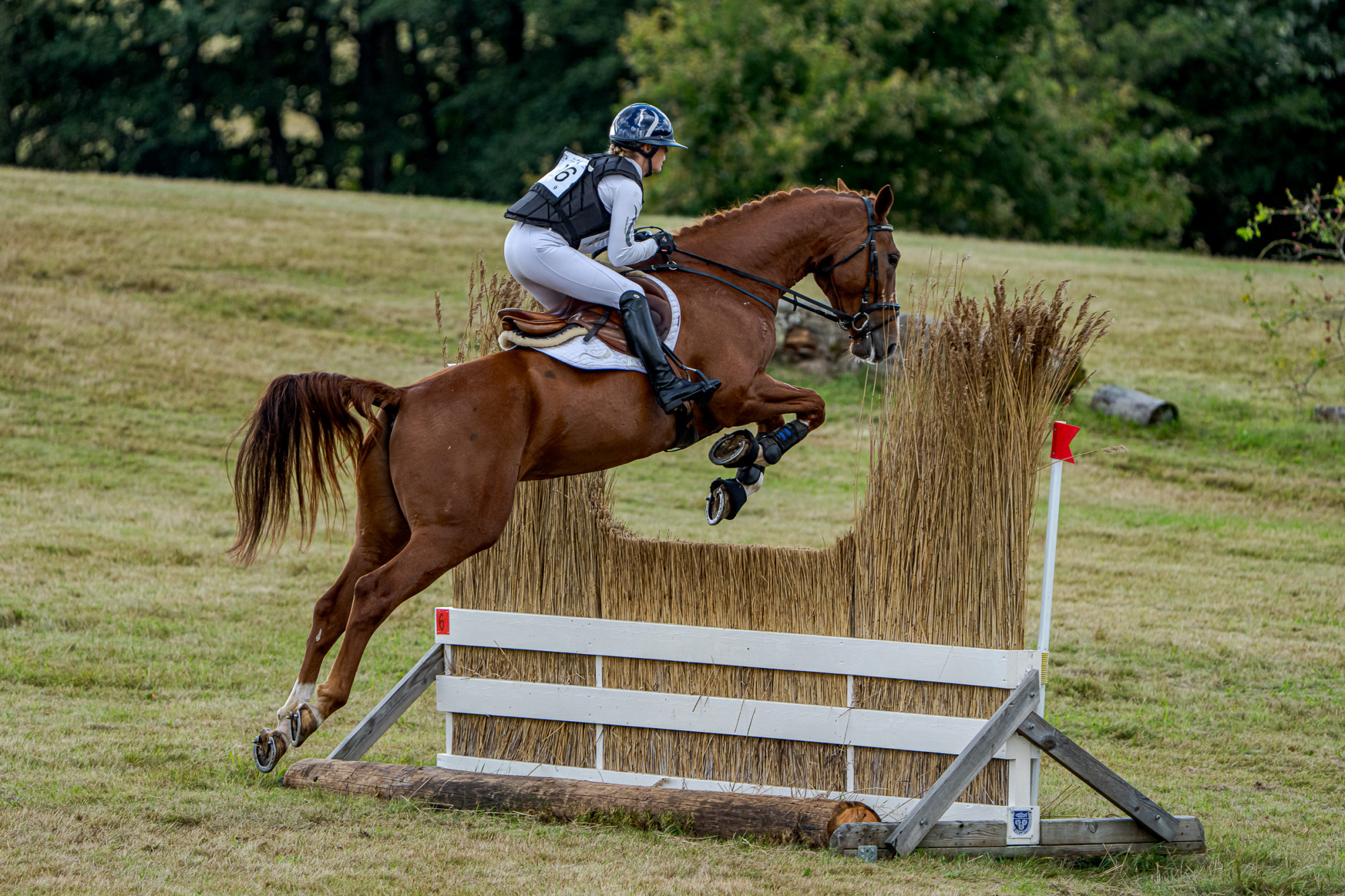 Frida Anders&eacute;n Karljohan