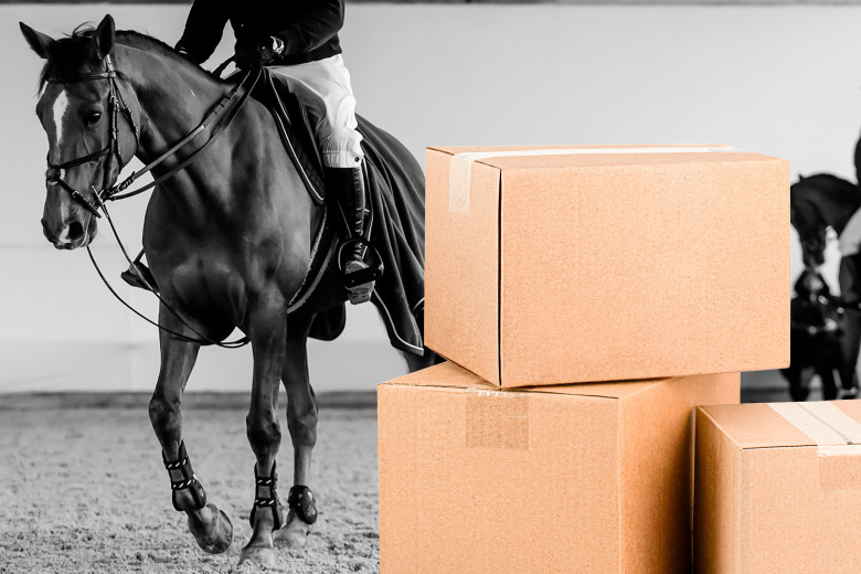 Catharina Hansson: Ryttarskam i diskret förpackning