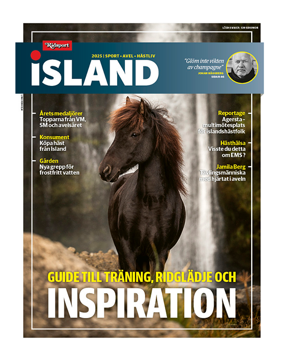 RIDSPORT ISLAND 1/2025