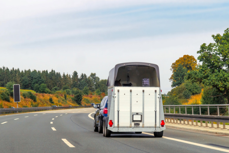 Hästtransport lossnade och välte – stor räddningsinsats