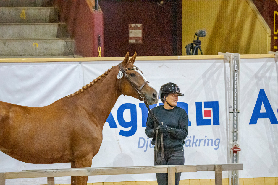 Tredje diplomet för Peggy Dee: ”Ska gå i sporten”