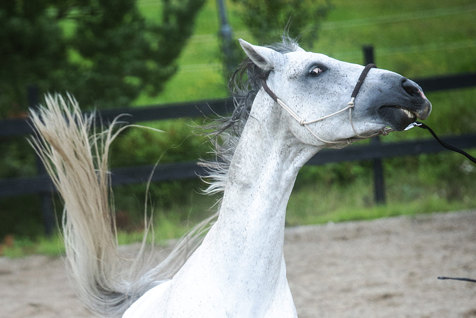 Annelie Frank: ”Problembarnen visar vilka vi är”