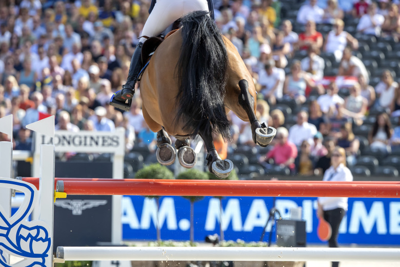 Per-Ola Forsberg: Varför är eliten osynlig i hästvälfärdsdebatten?