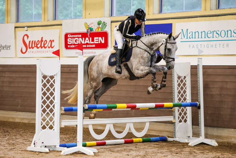 Dubbeldiplom till Veja med halvbror i yppersta hoppeliten