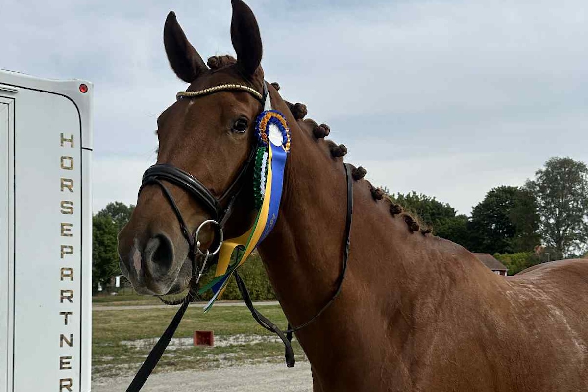 Vitaly