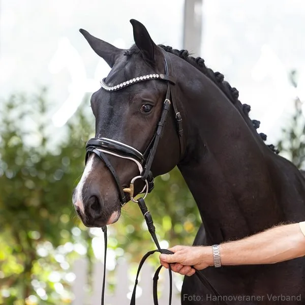 180-goldberg-hochadel-4o5a5923-jf-600x600.jpg