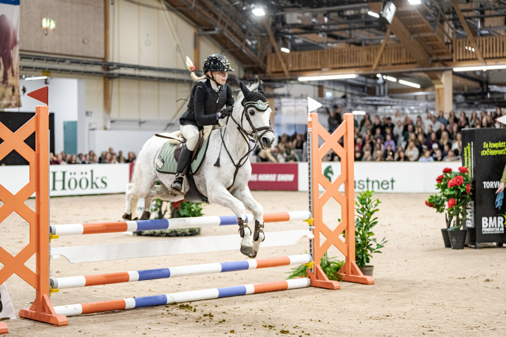 Alma Lüning Parc Chit Chat