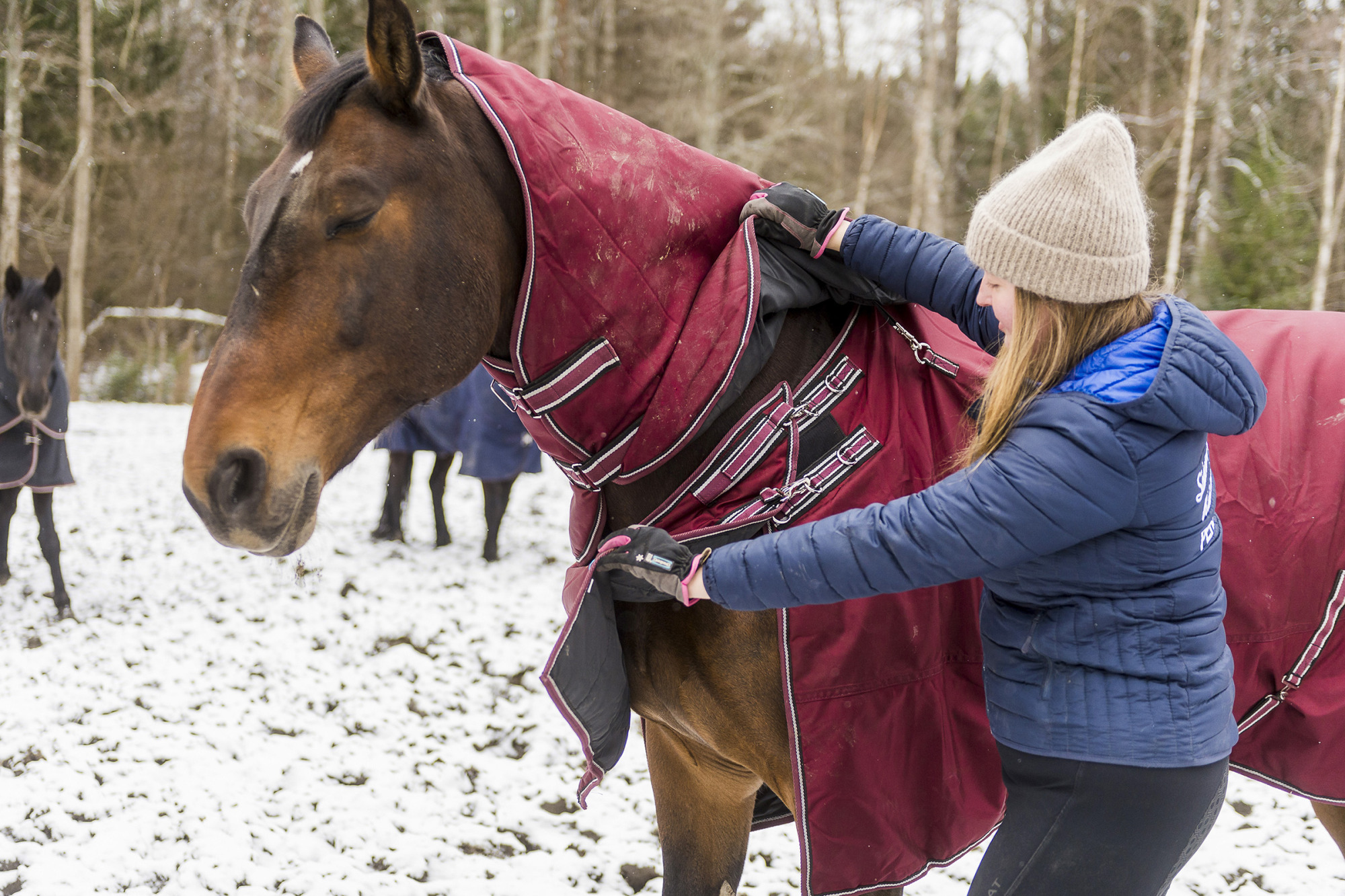 Equioq2ridsport-tackestest-126